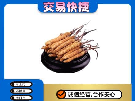景德镇回收冬虫夏草多少钱每克